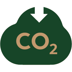 Informazioni sughero 16 carbonio negativo